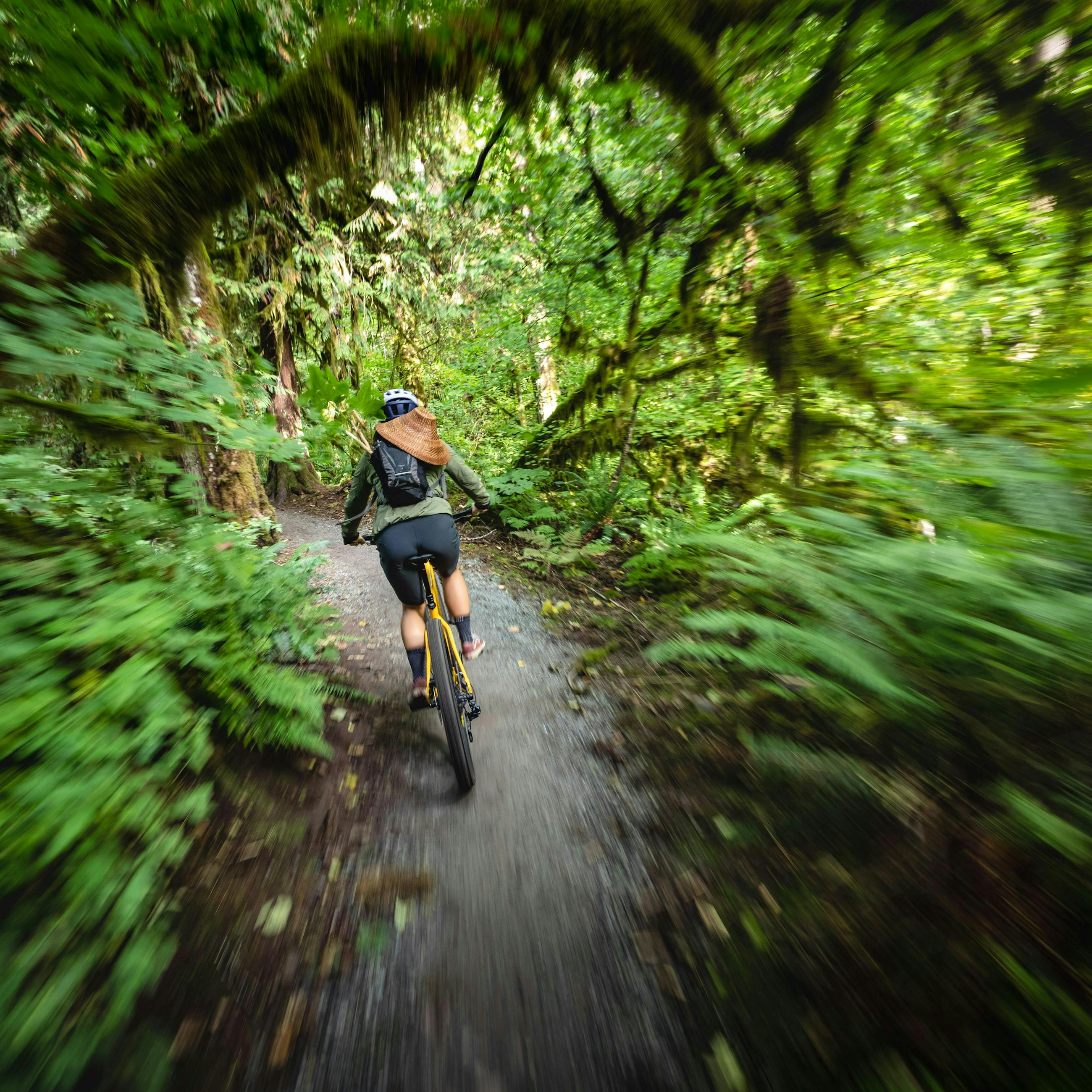 Mountain Biking Fast in the Woods