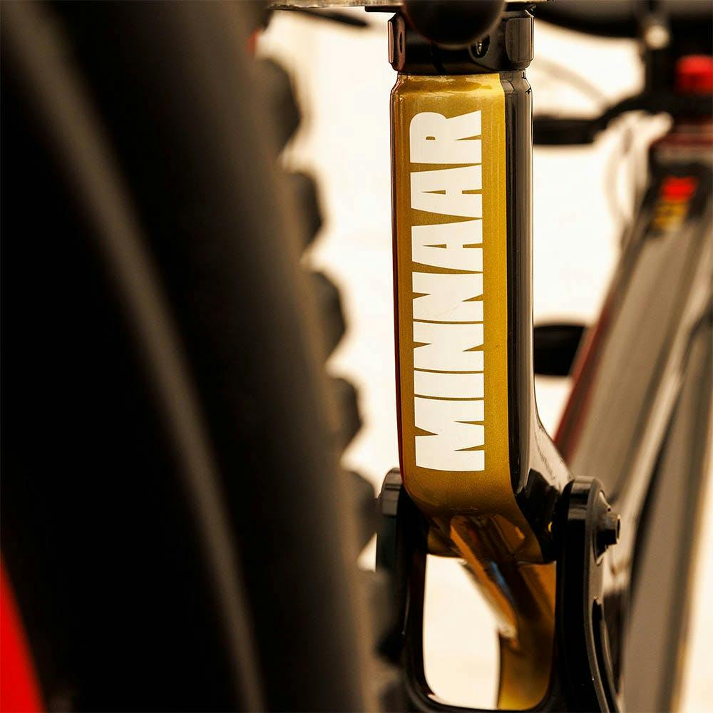 Greg Minnaar's Custom Santa Cruz V10 Downhill Bike
