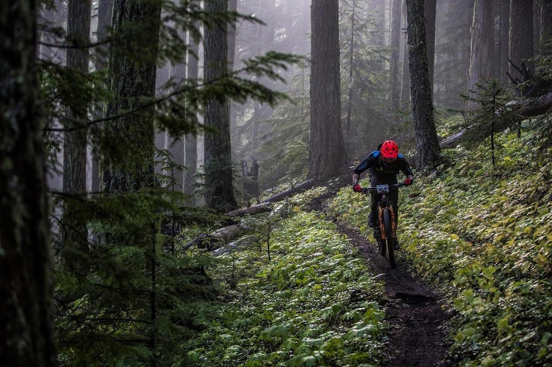 A mountain biker riding on a loamy singletrack trail surrounded by trees and greenery 