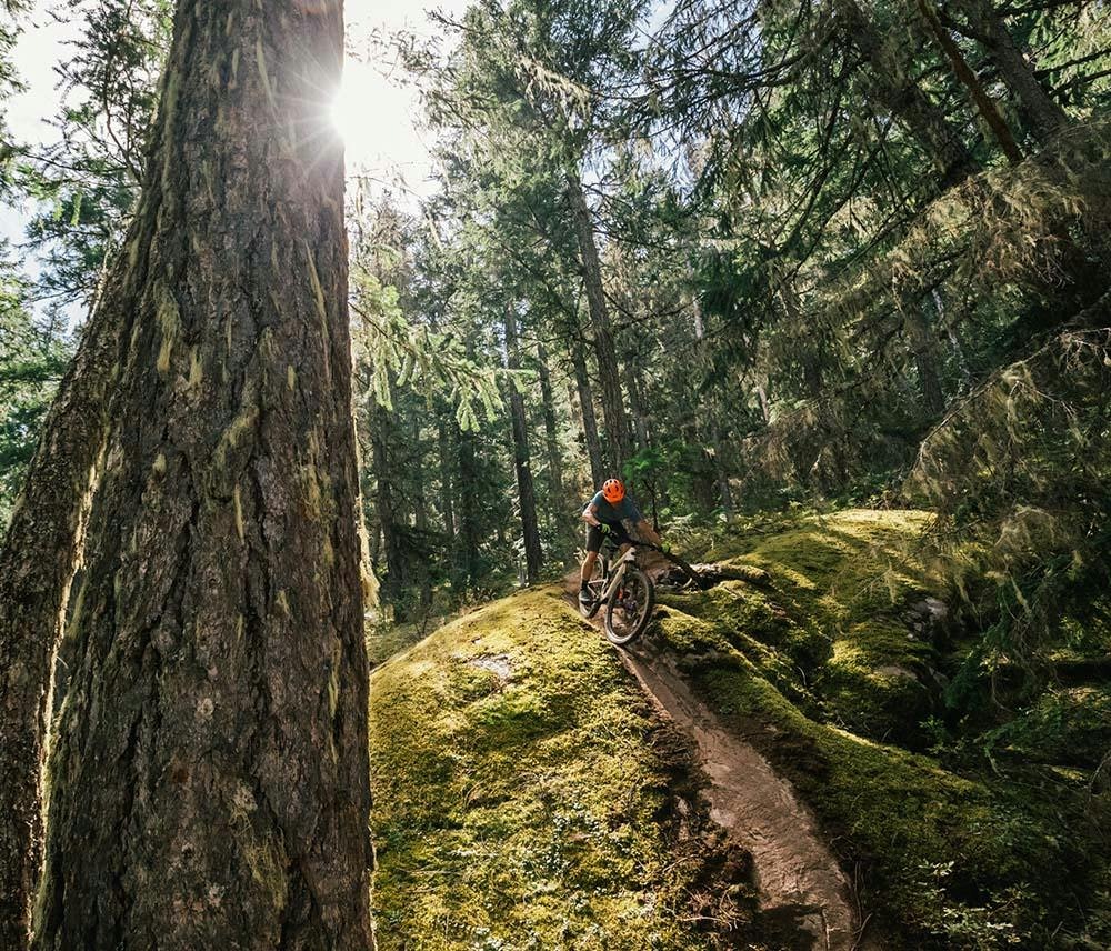 Mountain biker riding Tallboy in the woods
