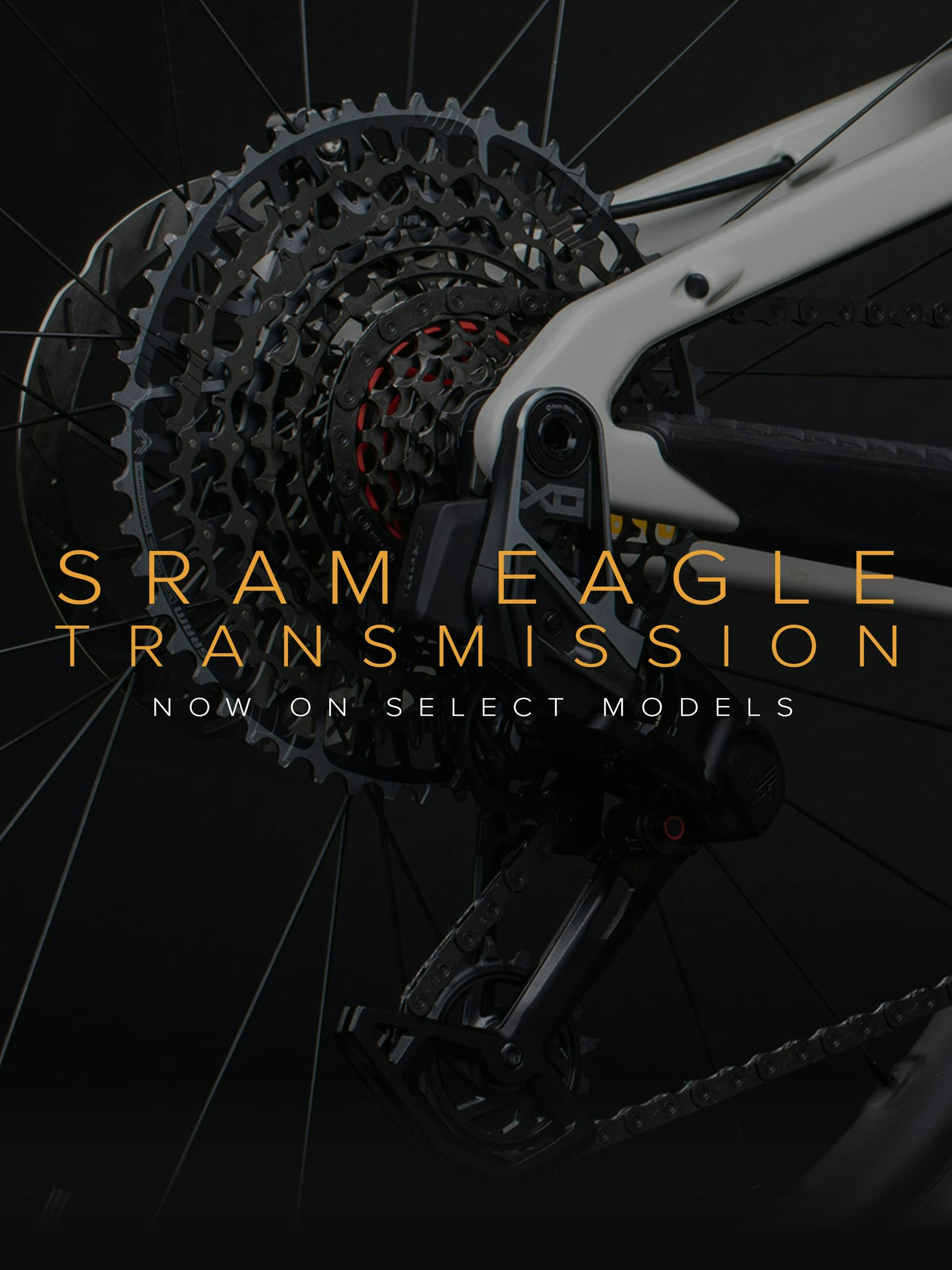 SRAM Eagle Transmission Graphic