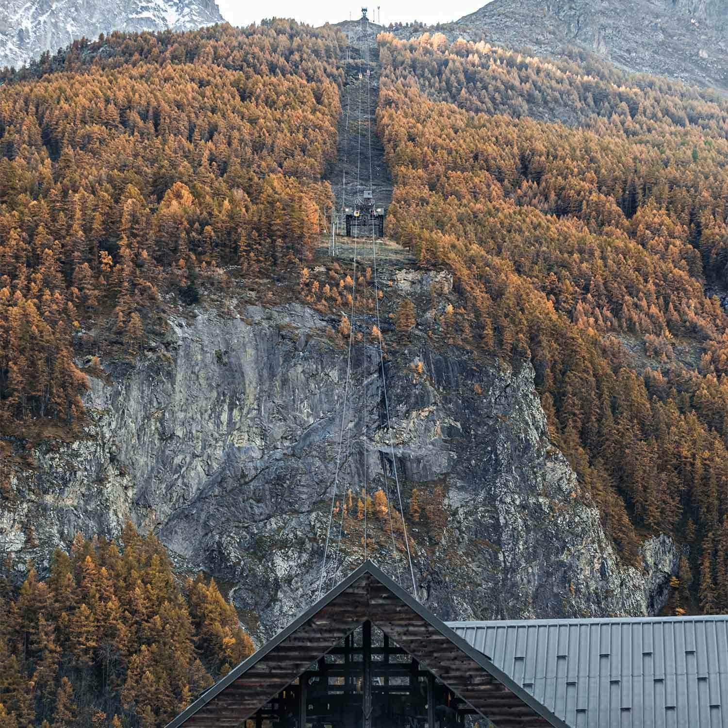 The cables and 3 gondola stations surrounded by a hillside of trees in La Grave