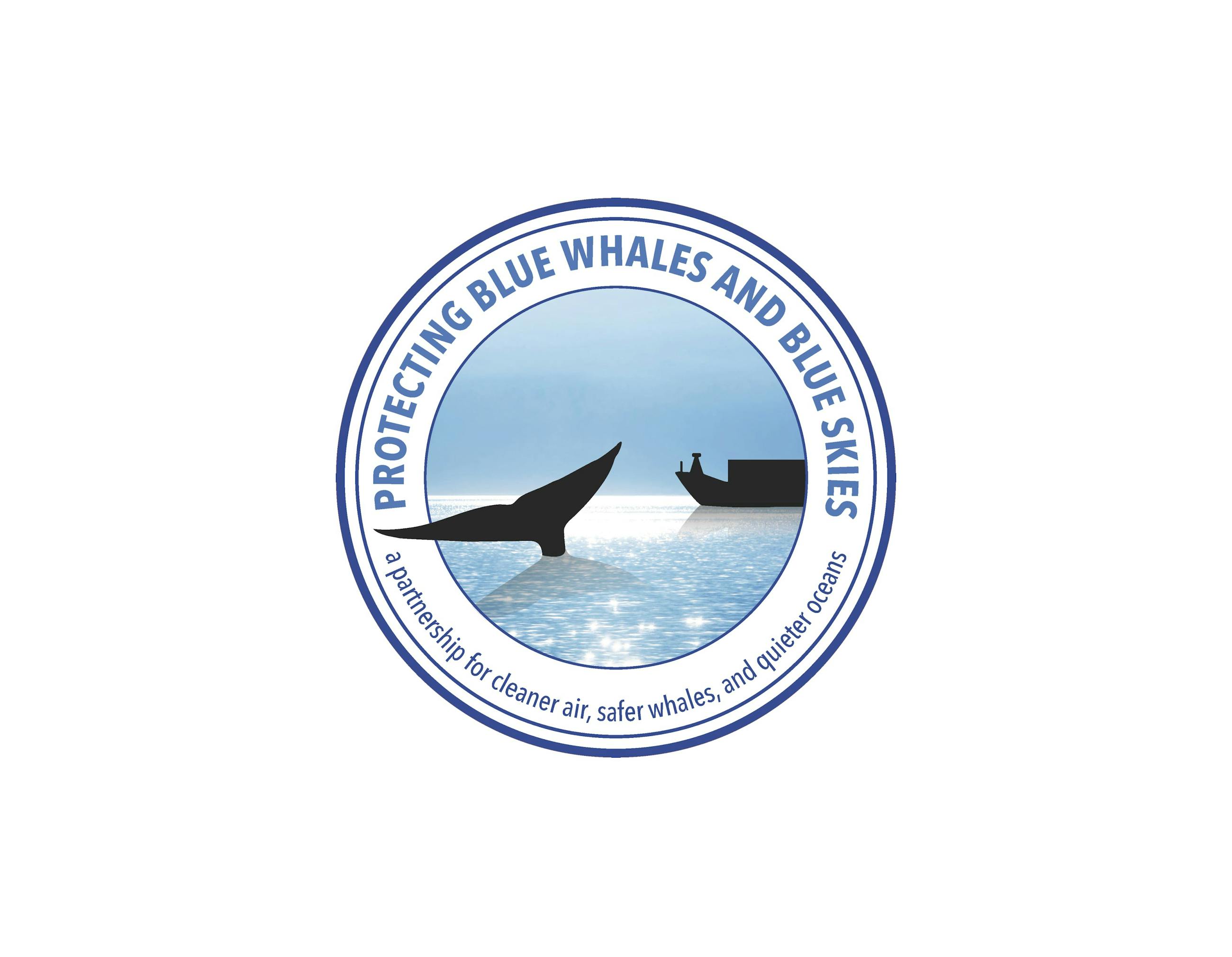 Blue Whales Blue Skies Logo
