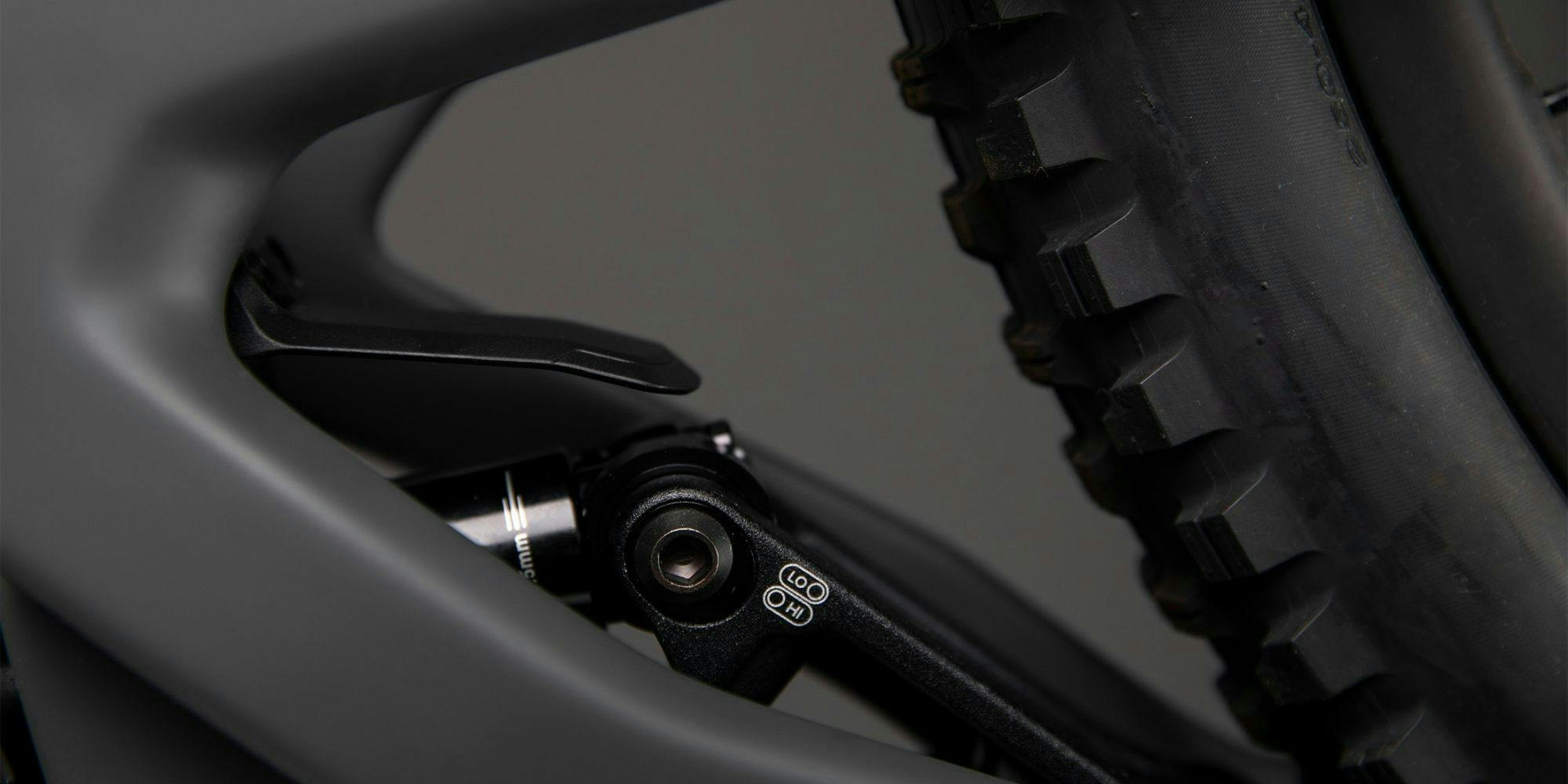 Santa Cruz Bicycles lower link flip chip: Allowing you to adjust a bike's geometry
