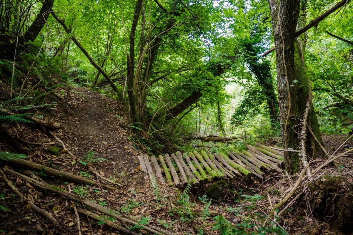 A wooden bridge connecting two singletrack dirt trails