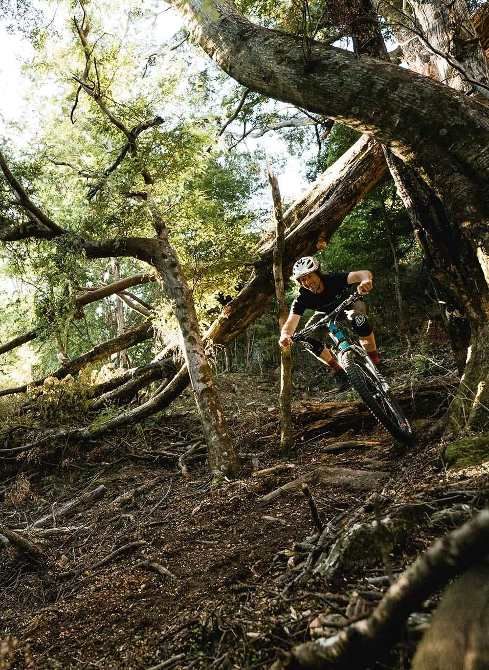 Tom Hey riding his mountain bike on forest trails