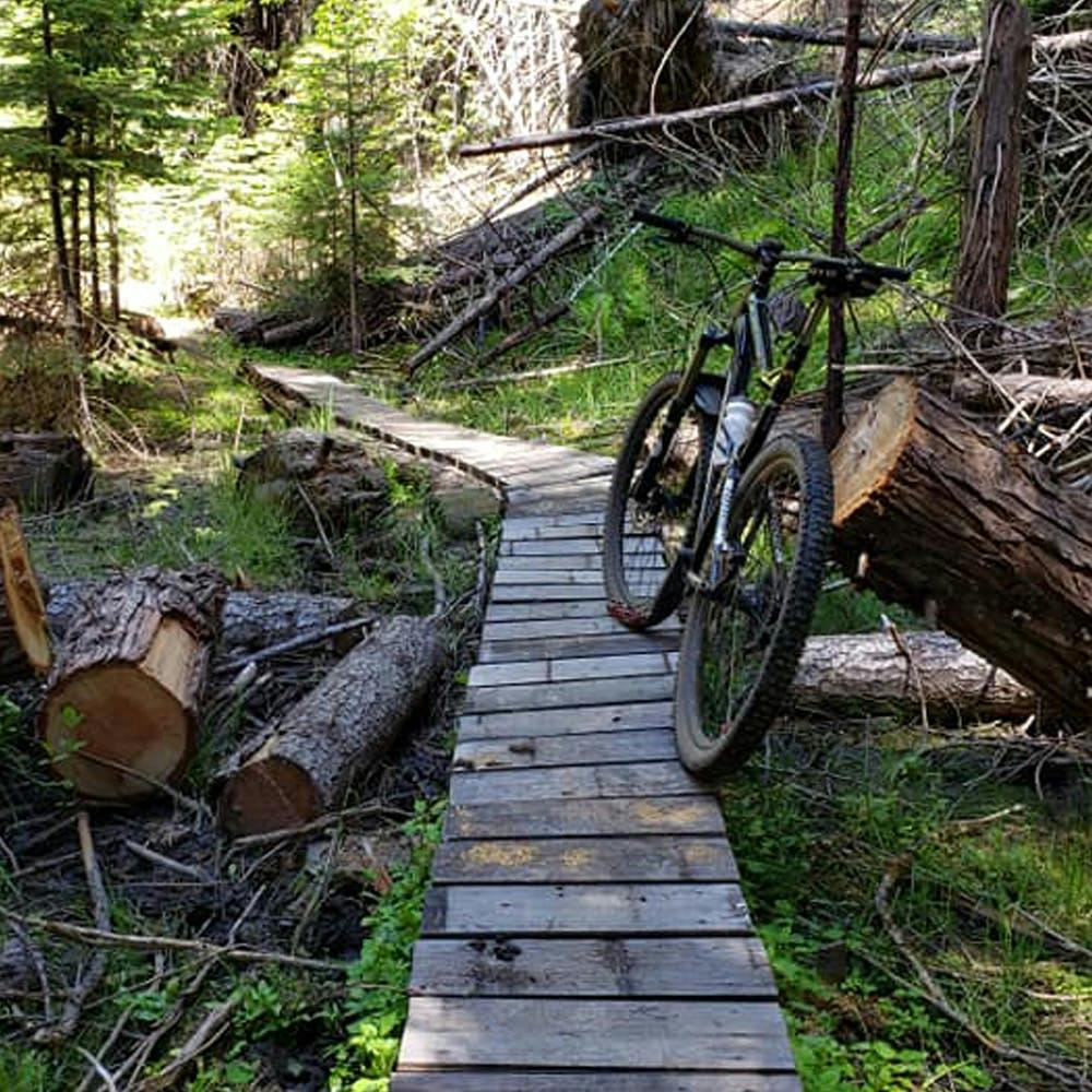 a wood bridge in the forest with a mountain bike leaning against a stump