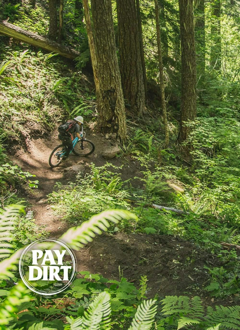 Trail worker riding singletrack in the forest