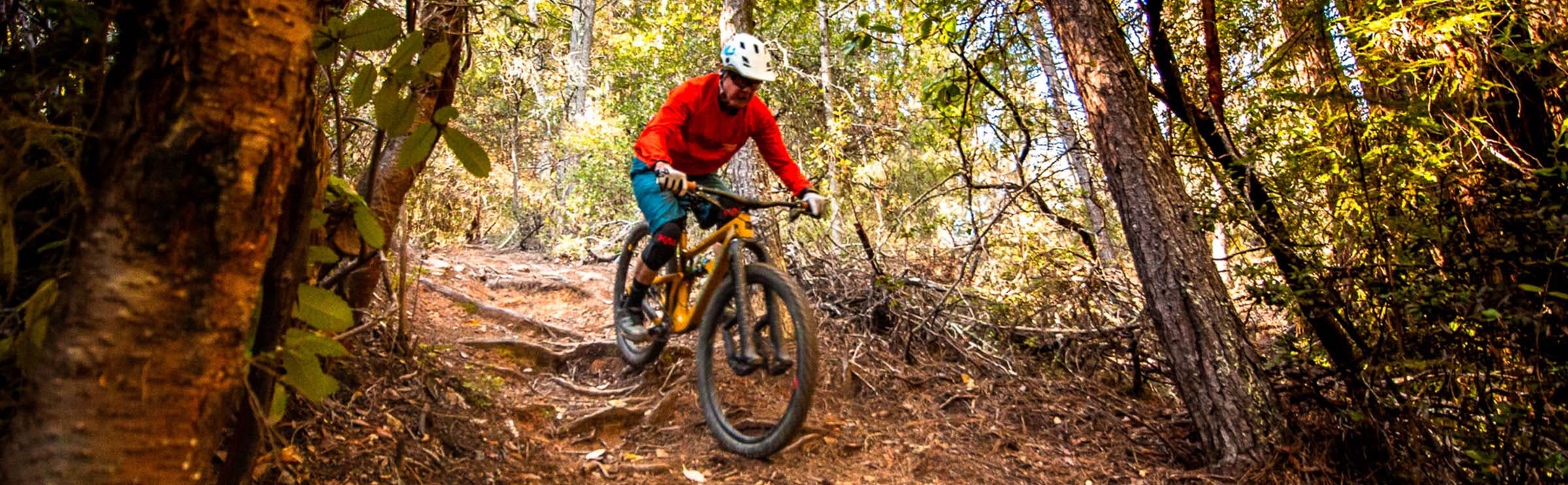 Bobby McMullen descending roots on his mountain bike