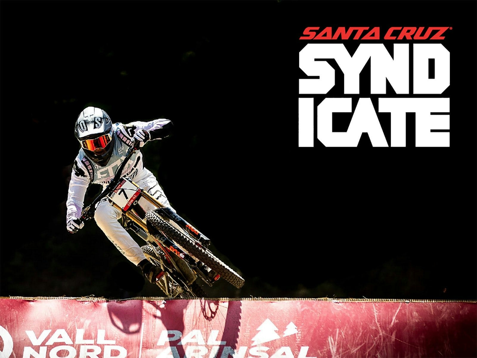 Santa Cruz Syndicate Poster
