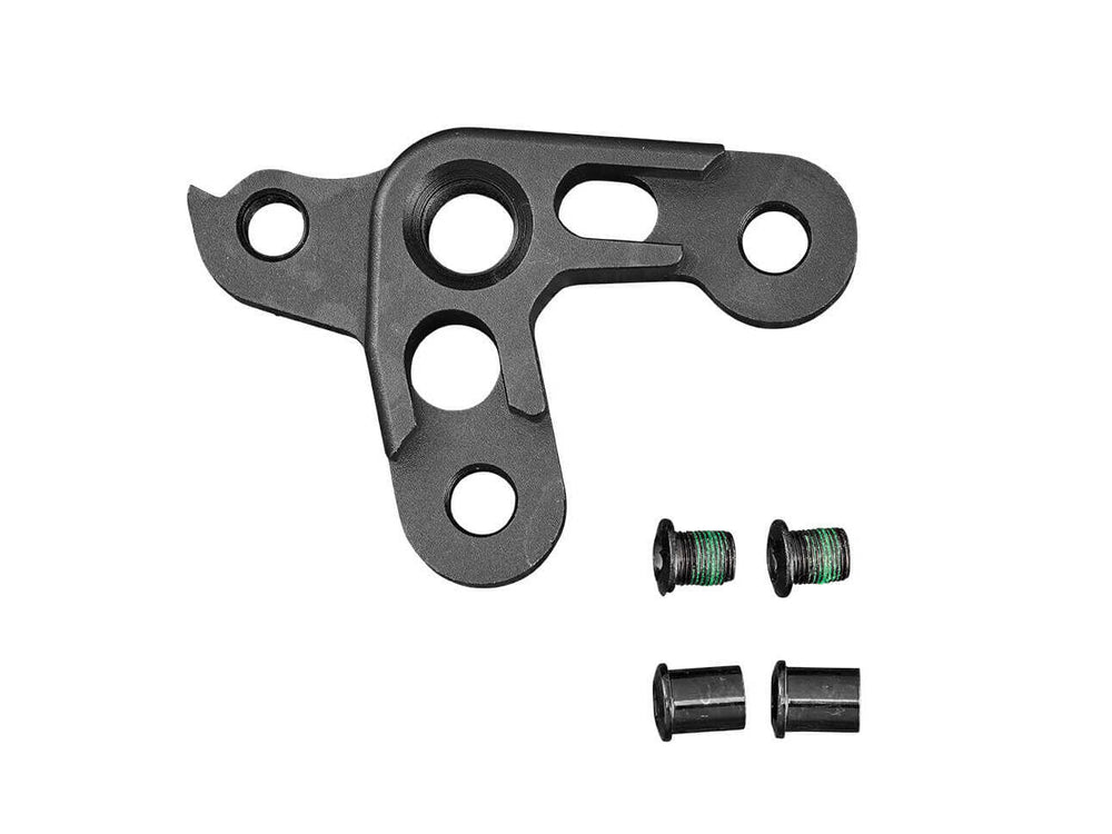 Dropout Kit V10 1.0 Thru Axle Drive Side – Santa Cruz Bicycles