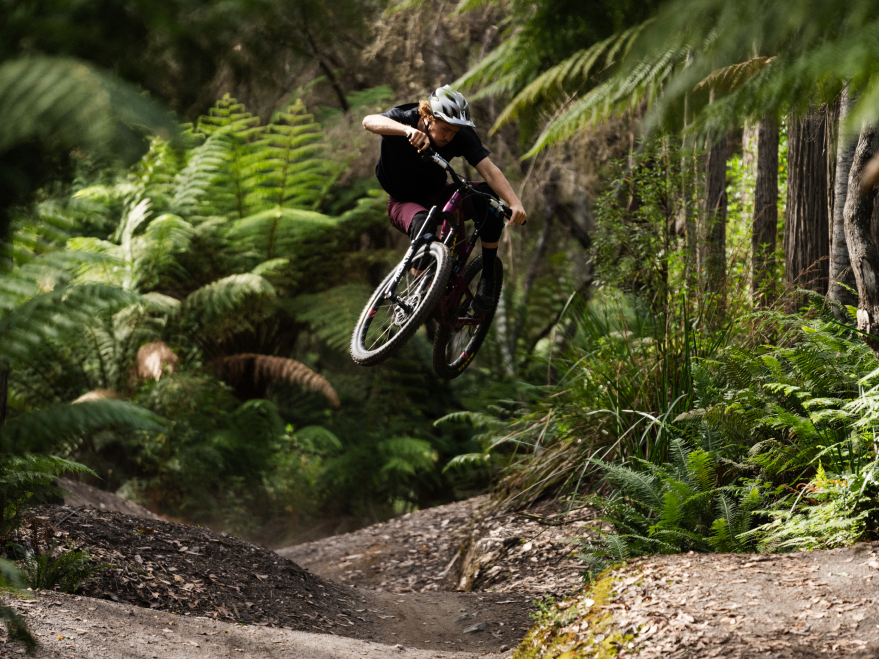 Person on a mountain bike in mid-air over a forest trail