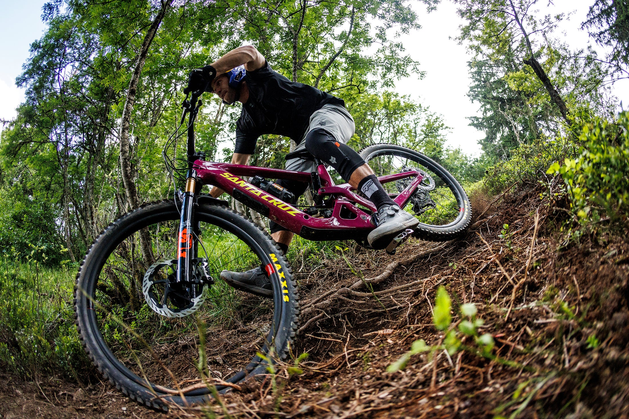 Santa Cruz Bicycles | Quality Bicycles Since 1994