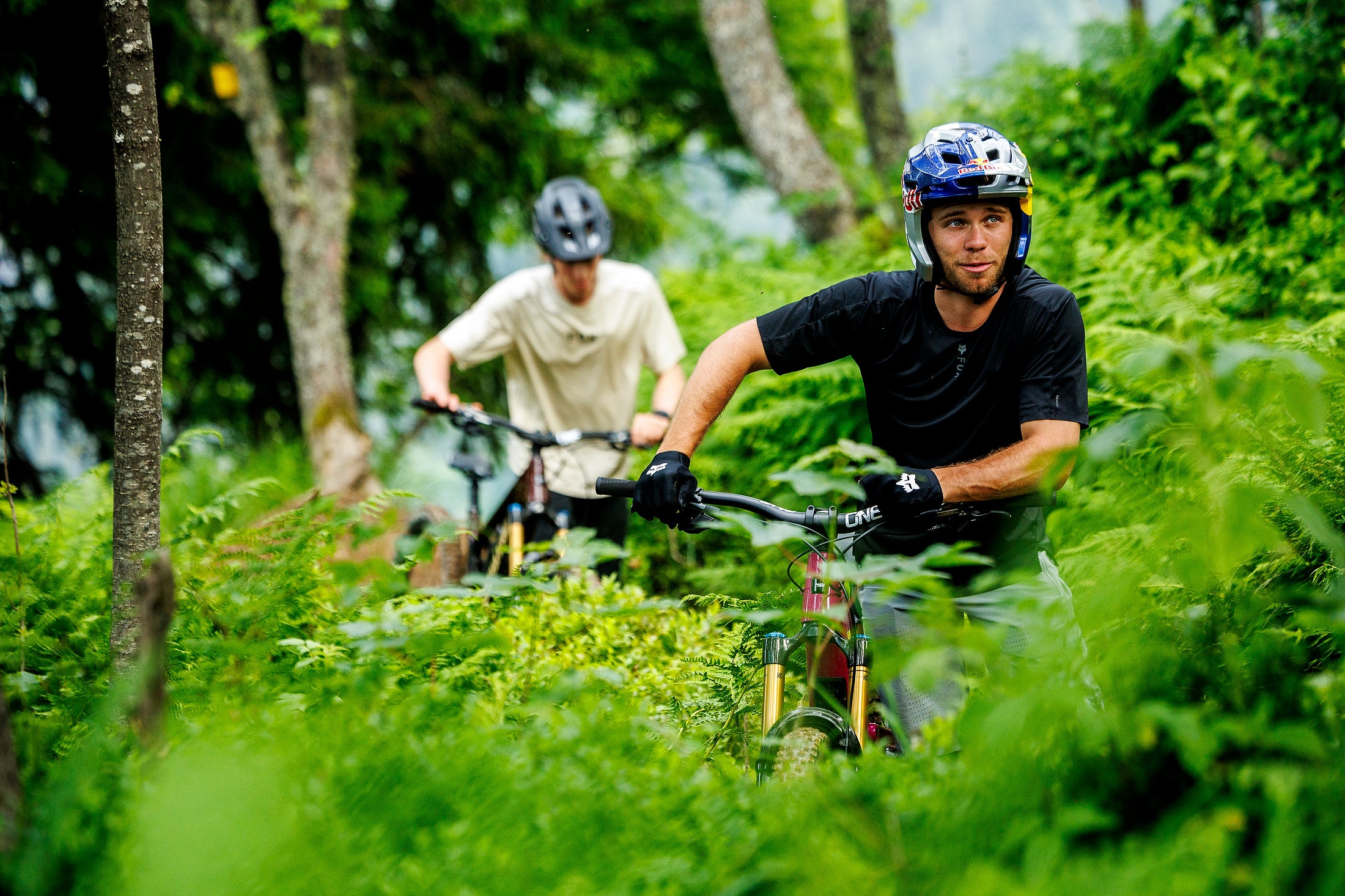 Santa Cruz Bronson en acción