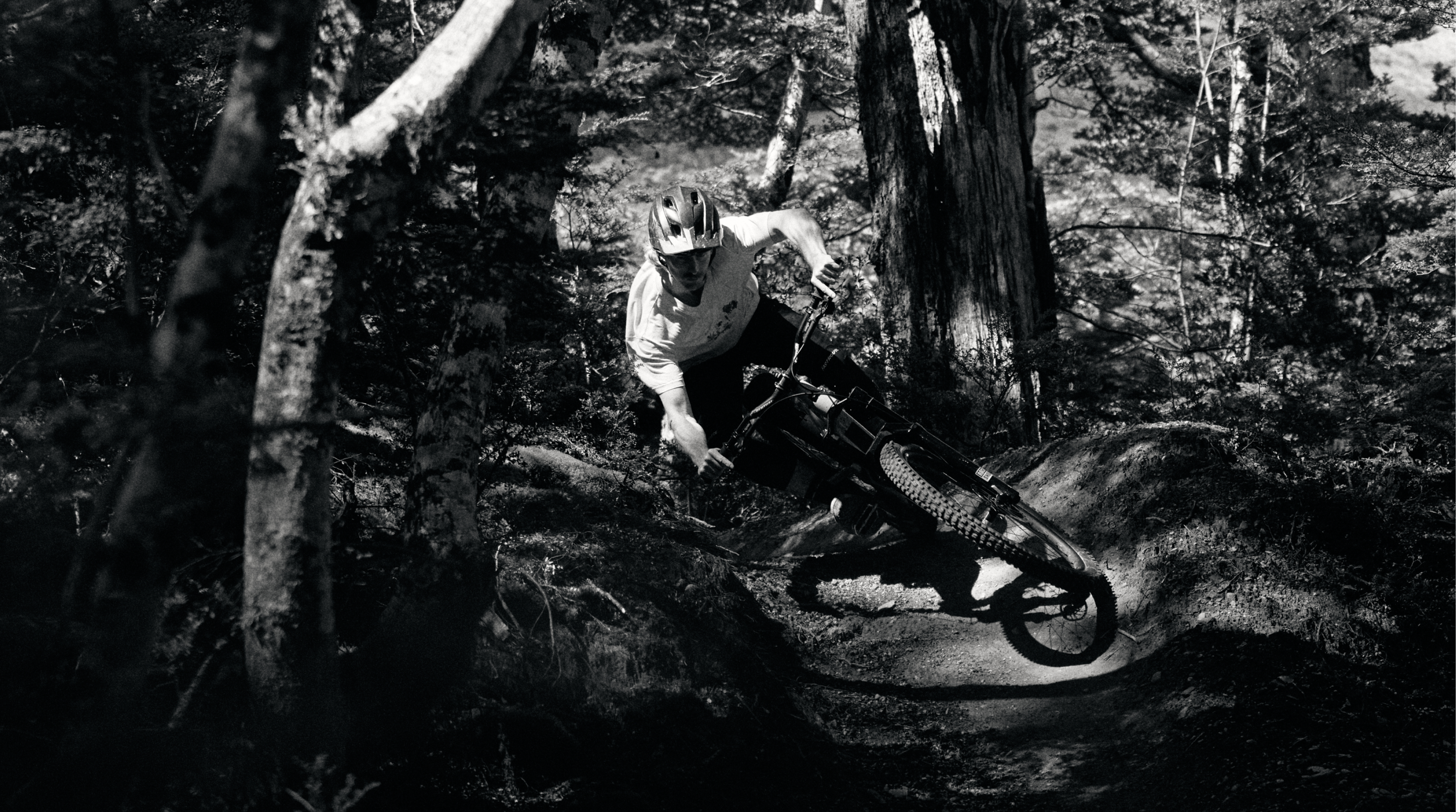 Person riding a bicycle through a forest at night