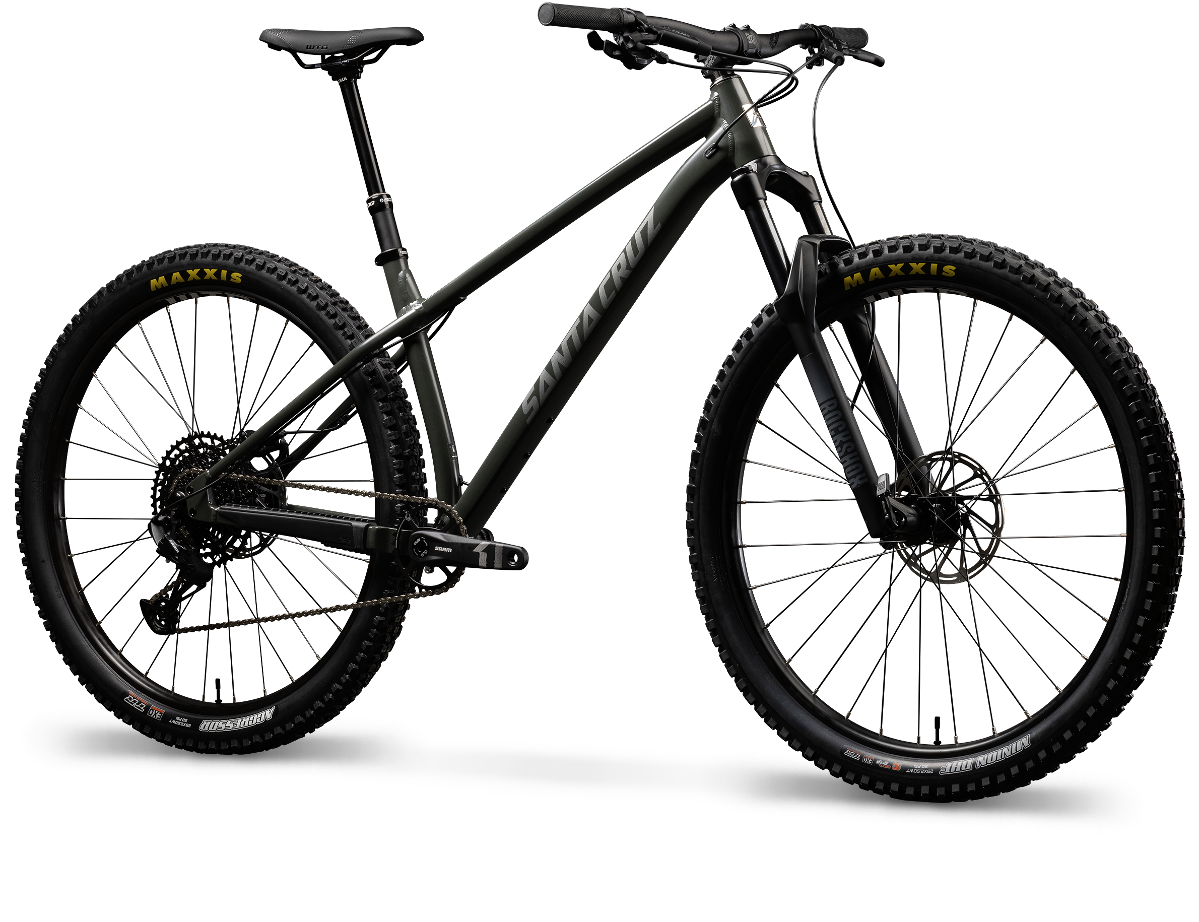 Santa Cruz Chameleon