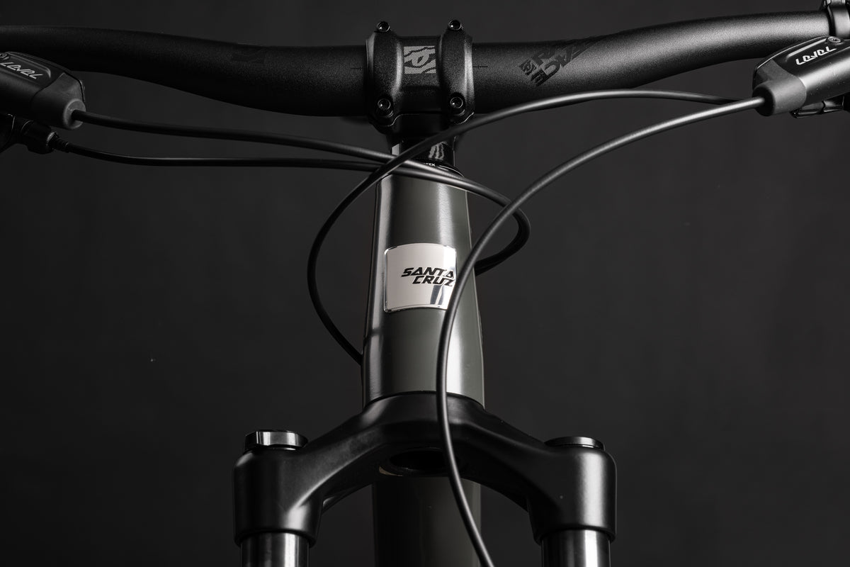 Santa Cruz Chameleon S 10