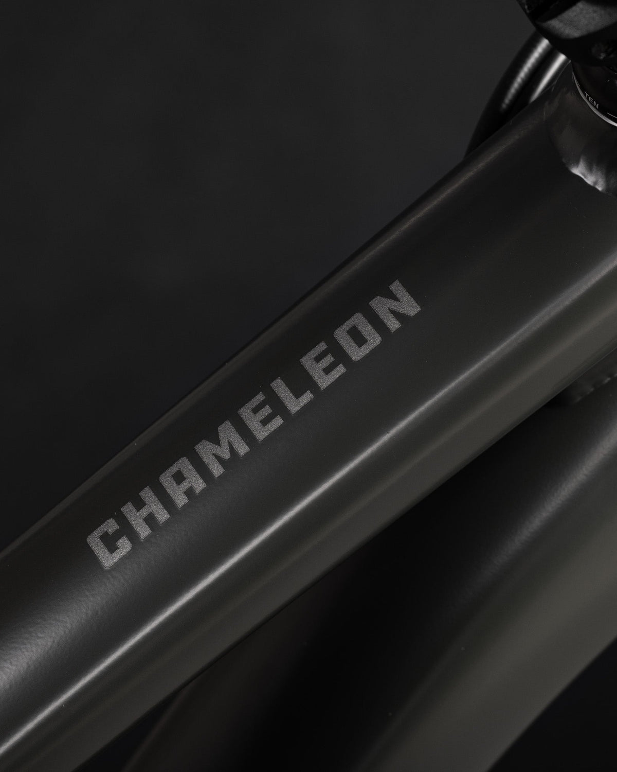 Santa Cruz Chameleon S 9