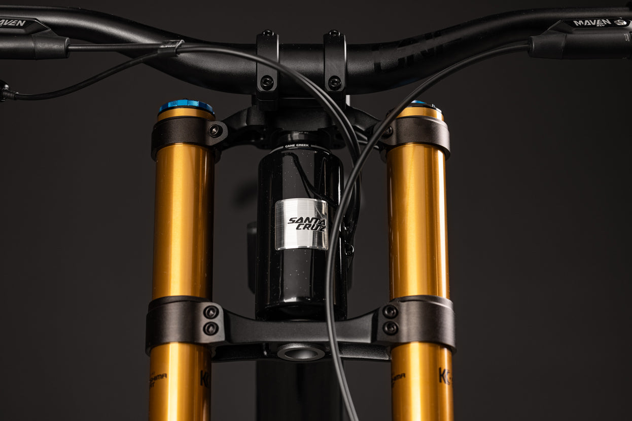 V10 DH X01 2025 – Santa Cruz Bicycles - Main Image