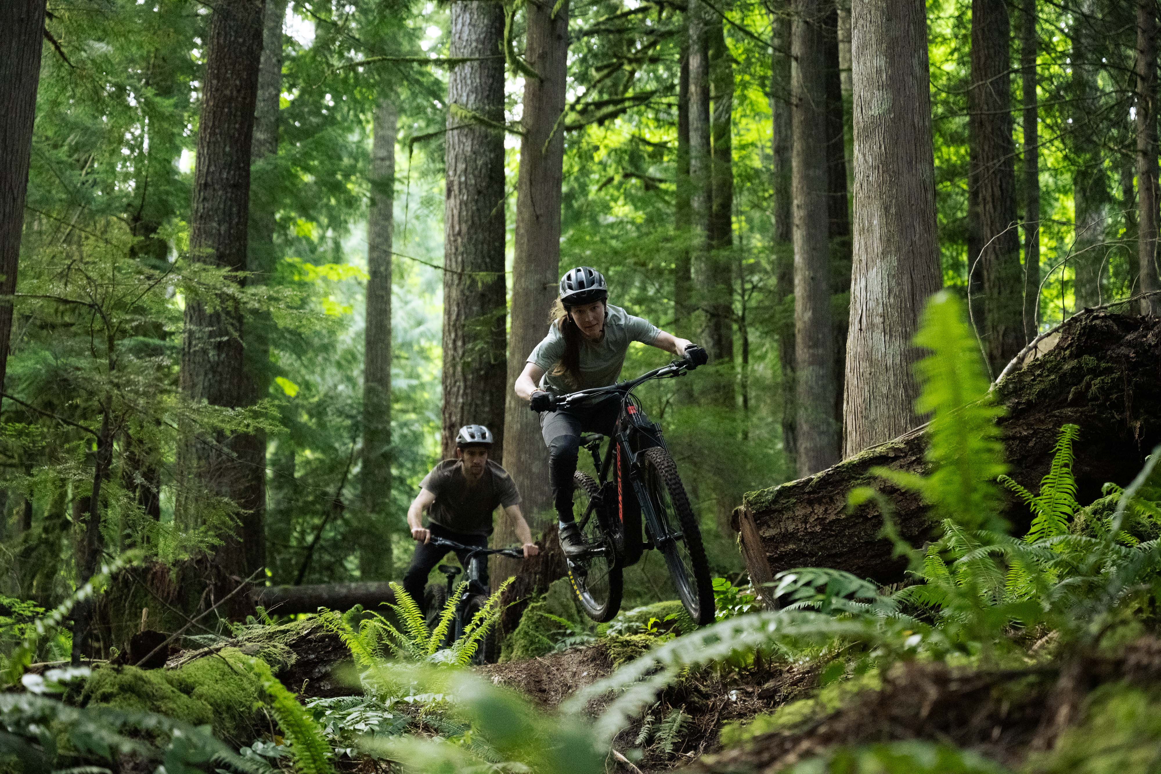 Two people riding bicycles through a dense forest