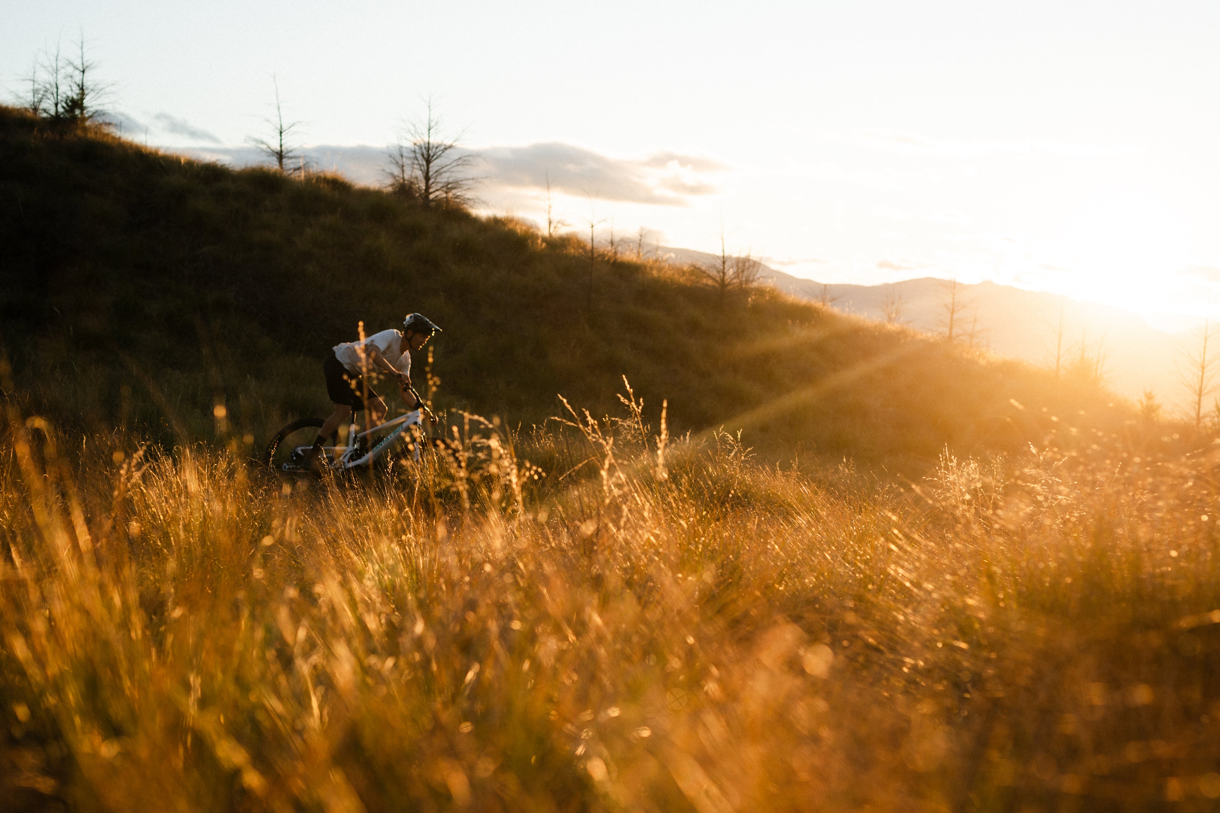 Santa Cruz Tallboy R 14