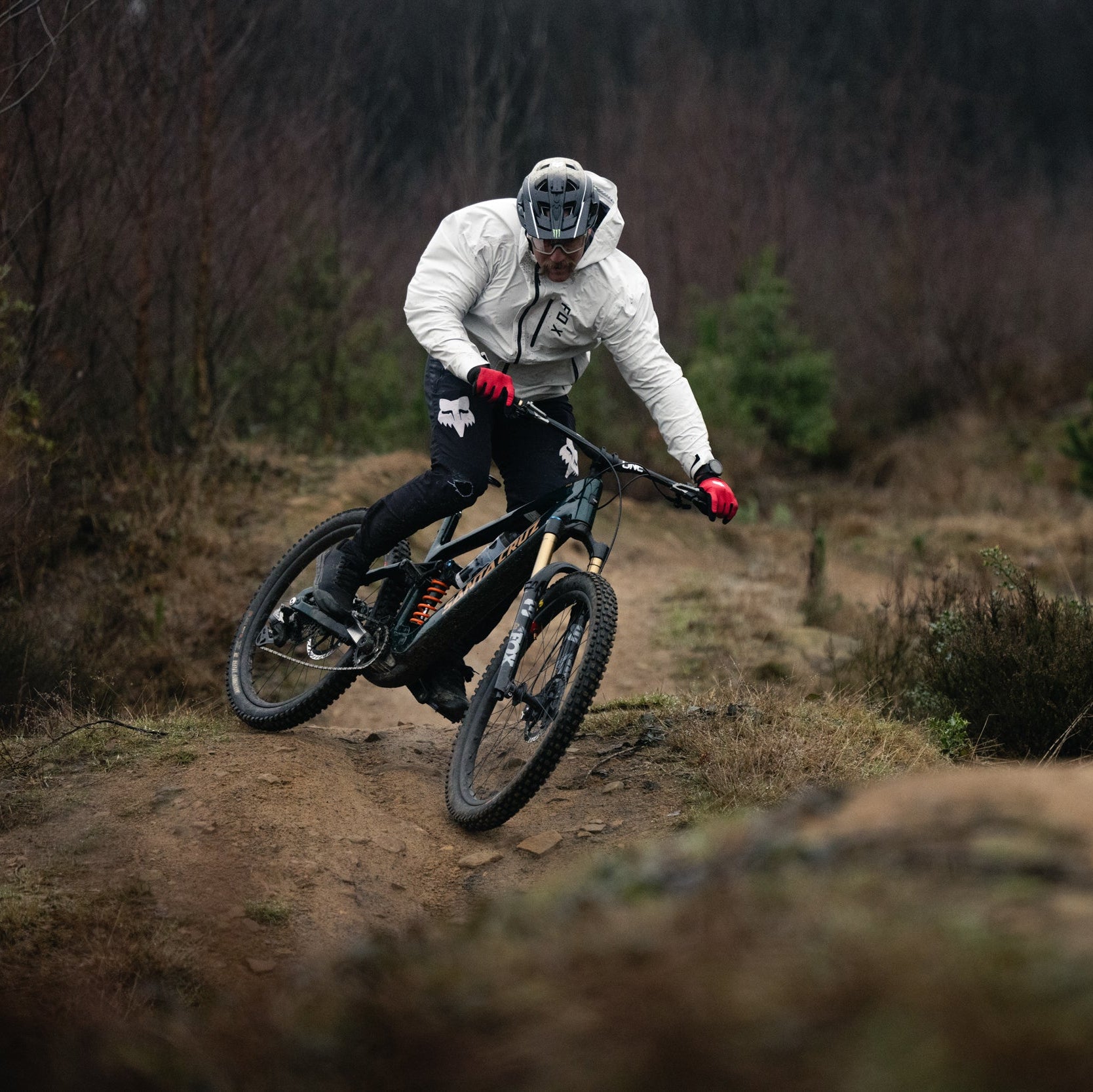 Person riding a mountain bike on a trail in a forest