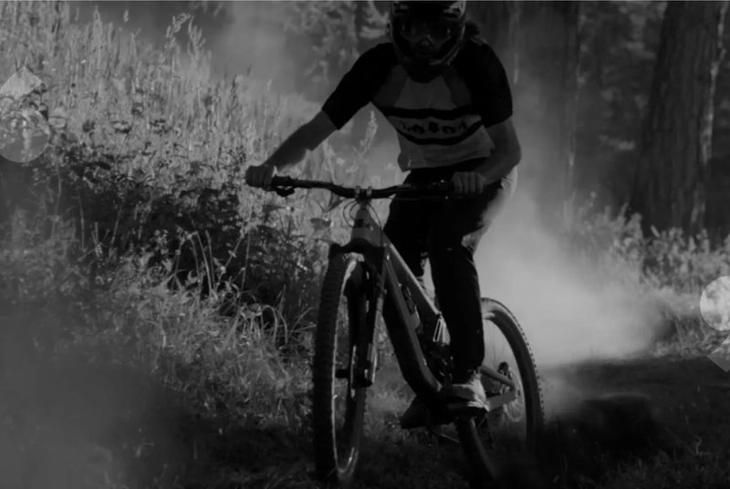 Santa Cruz Stigmata Apex