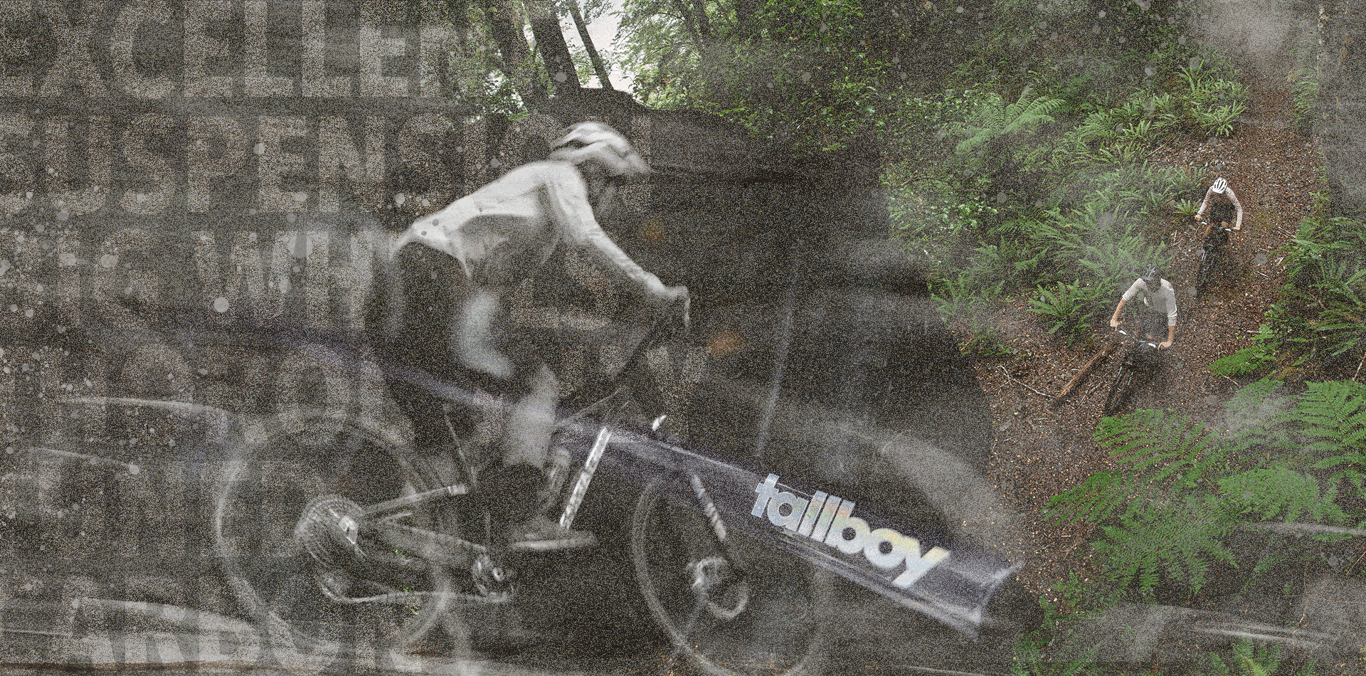 Santa Cruz Tallboy en el trail